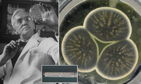 Penicillin Discovered By Who