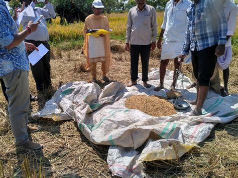 Directorate of Economic and Statistics