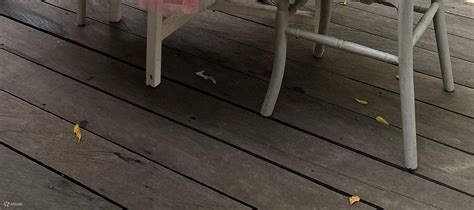 Instagramable Picnic And Dining Experience at Este Leisure Bali - Klook ...