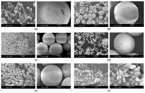 Porous Chitosan/Hydroxyapatite Composite Microspheres for Vancomycin ...