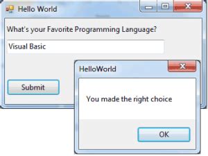 VB 2008 Tutorial 的图像结果