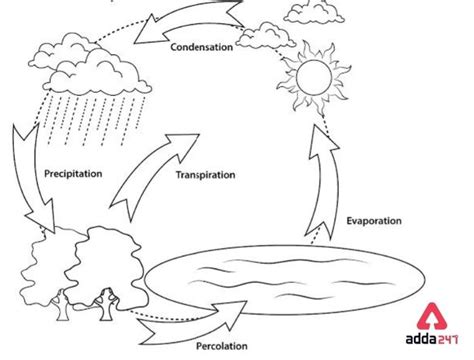 Water Cycle Diagram: Drawing for Kids of Class 3, 4