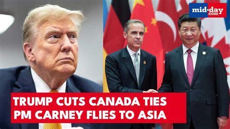 Trump-Canada showdown: Controversial ad angers Trump, trade talks ended