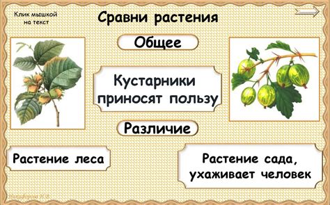 Дикорастущие и культурные растения. 2 класс - презентация онлайн