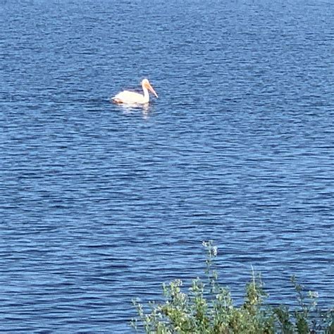 BOARDMAN MARINA PARK AND RV CAMPGROUND - Campground Reviews & Photos ...