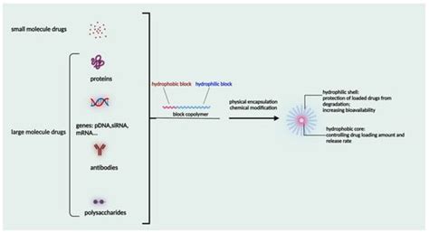 Exploring the Application of Micellar Drug Delivery Systems in Cancer ...