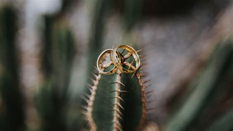 Download wallpaper 3840x2160 wedding, love, rings 4k uhd 16:9 hd background