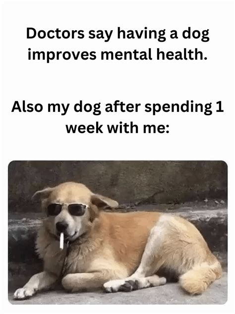 Mental Health Memes 30 'Mental Health Memes' That Even Your Therapist