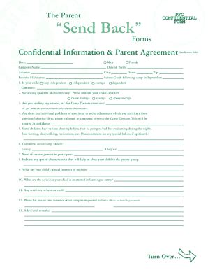 Fillable Online Modification of Custody or Parenting Plan Forms and ...