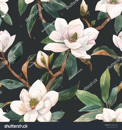 Magnolia Flower Wallpaper