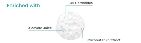 Earth Rhythm Ceramide Foaming Face wash with 3% Ceramides | Locks Skin ...