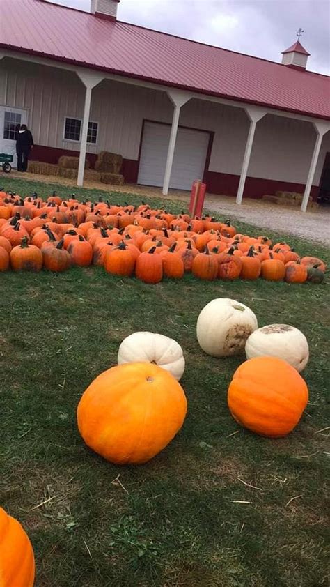 HEAP'S GIANT PUMPKIN FARM - All You Need to Know BEFORE You Go 2026 ...