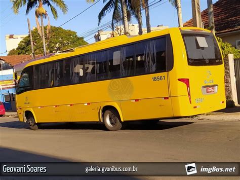 GV Ônibus - Galeria de fotos - imgBus