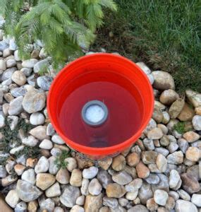 How to Clean a Salt Cell 的图像结果