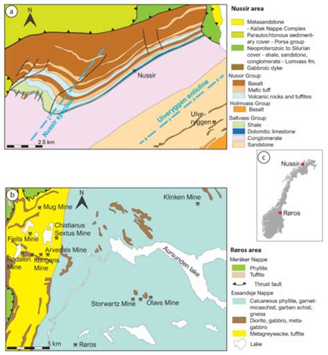 The Role of Mineral Assemblages in The Environmental Impact of Cu ...