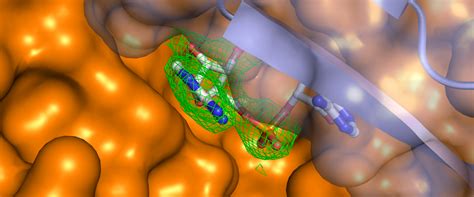Macromolecular Structure Group at the Nucleus, Sarafan ChEM-H