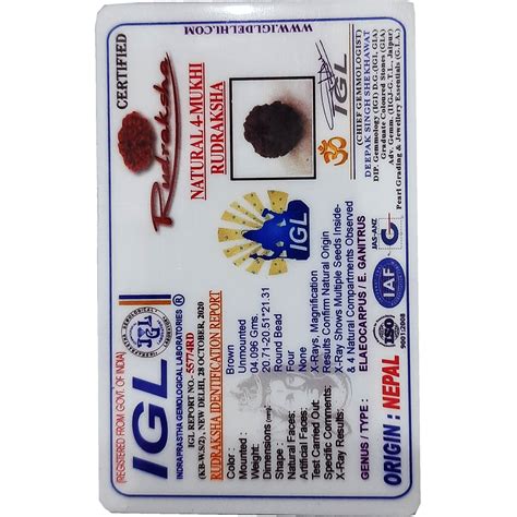 Natural 4 Mukhi Nepali Rudraksha With Lab Certified Astrology Remedial ...