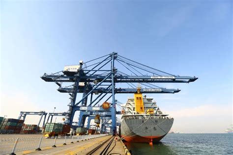 步步登高！天津港集装箱公司自动化码头综合示范区作业效率不断提升-港口网