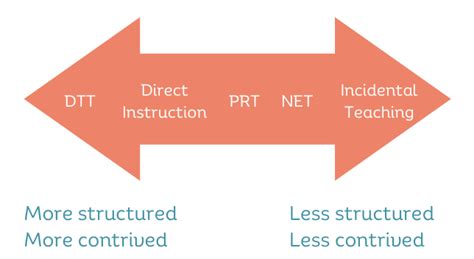 Image result for ABA Teaching Practical Examples Dyad
