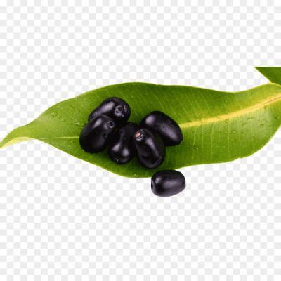 Jamun Java Plum Png Photos Jamun Fruit Png - Pngsource