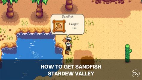 Stardew Valley - How to Get Sandfish - The Daily Juice
