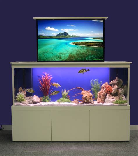 Bildergebnis für fire tv aquarium