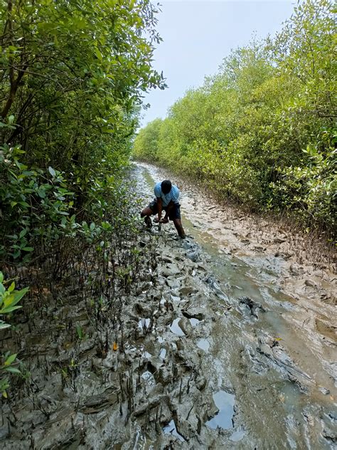 Press Release:Press Information Bureau