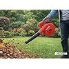 Ralli Wolf RB500 Electric Blower 600W Variable Speed, 16000 RPM Double ...