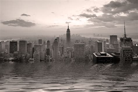 Image result for Life Model Used