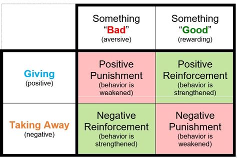 Some famous psychology experiments! Part 5 | Psychoprodigy.in
