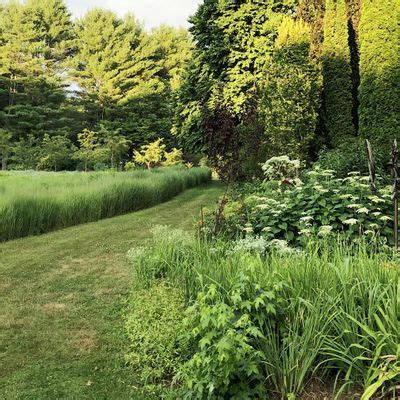 Your Spring Garden Checklist, Bedrock Gardens, Lee, 18 May 2024 ...