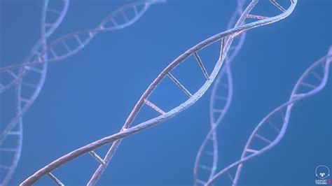 Image result for Human DNA Strand