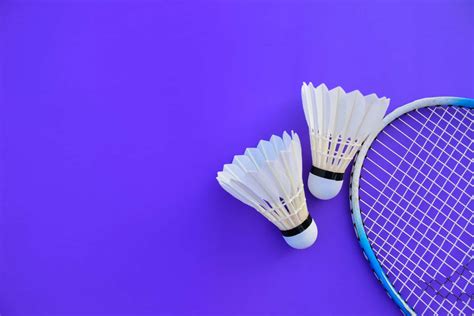 Badminton Theme 的图像结果