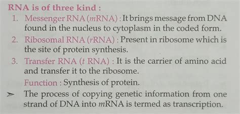What are three types of rna molecules which perform different functions ...