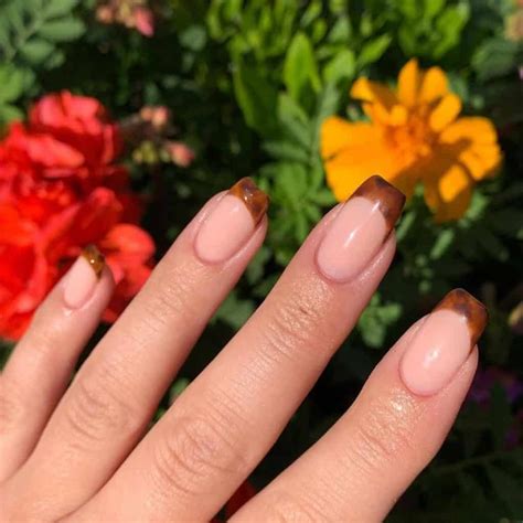 Image result for Tortoise Shell Manicure