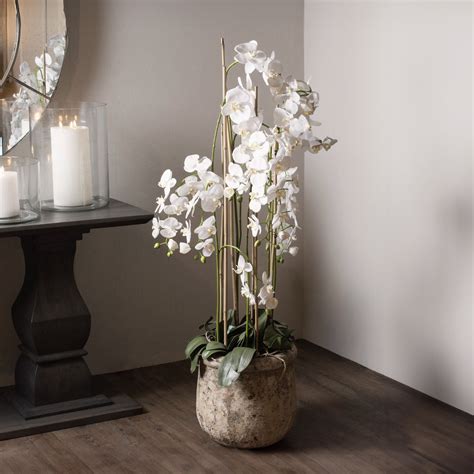Artificial Extra Large Floor Standing White Orchid in Rustic Pot ...