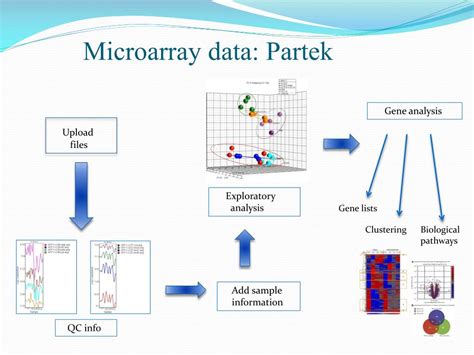 Microarray Data 的图像结果