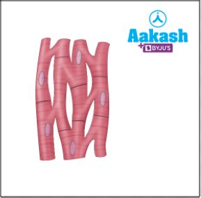 Organ and Organ System: Unicellular and Multicellular Organisms, Levels ...