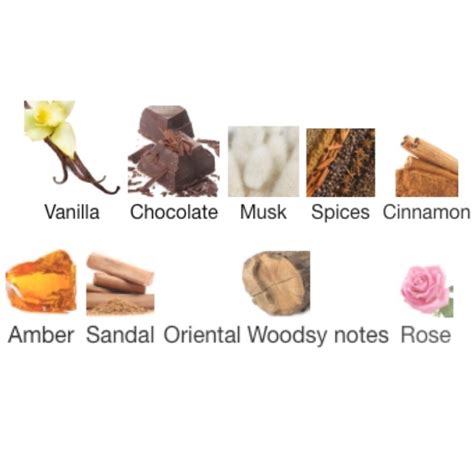 Al Rehab CHOCO MUSK – WHIFF CULTURE