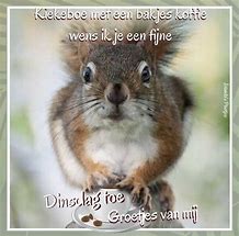 Image result for Caroon Good Morning Rabbit