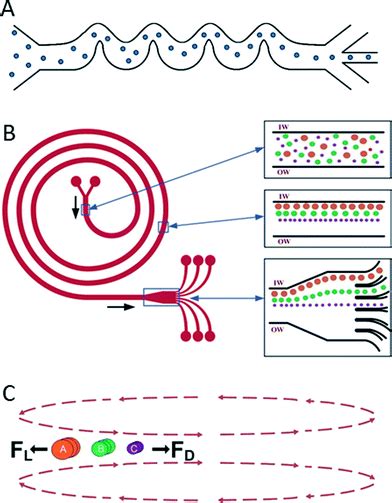 Image result for Cell Sorting Example