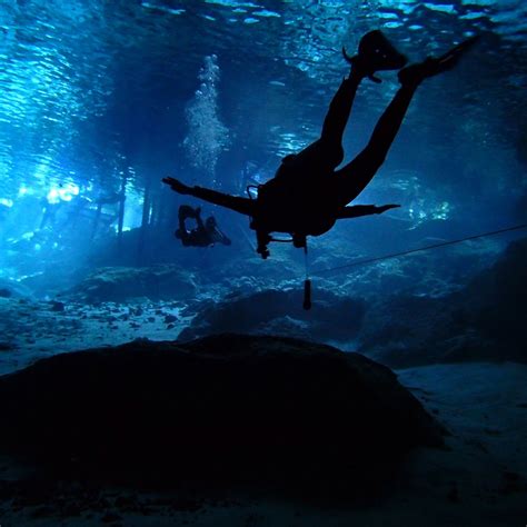 DIVING CENOTES TULUM (Updated 2026) All You Need to Know BEFORE You Go ...