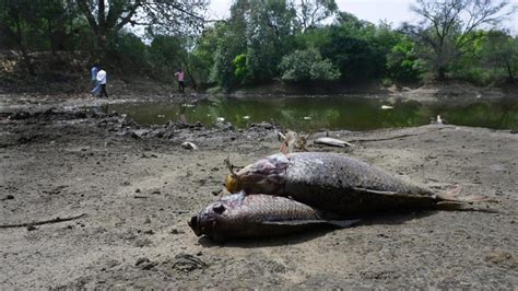 DRP NB 080523: Pune citizens Oppose River Front Development Project ...