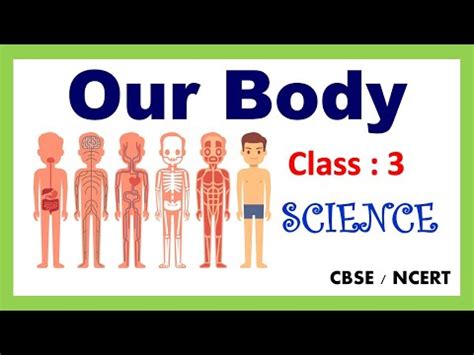 Our Body Video Lecture - Class 3