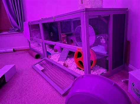 Buy COZIWOW 2 Tier Hamster Cage, Wood Guinea Pig Habitat, Rat House ...