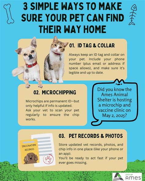 Ames Animal Shelter (@amesanimalshelter) • Instagram photos and videos