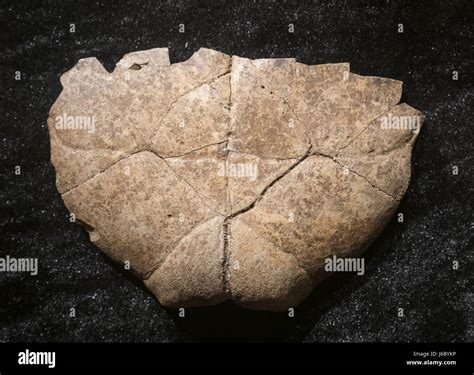 Oracle bones shang dynasty hi-res stock photography and images - Alamy
