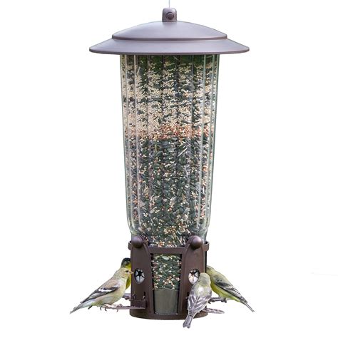 Best Squirrel Proof Bird Feeder 2025: Trusted & Loved Picks!
