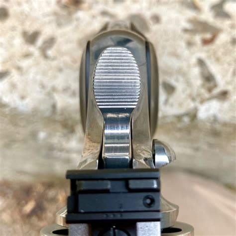 Image result for 2020 Python Revolver