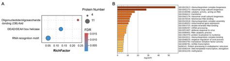 Pathogens | Special Issue : Pathogenesis of Human Coronavirus Infections
